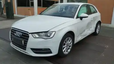 Veículo de Sucata audi a3 (8v1, 8vk) 1.6 tdi do ano 2013 alimentado clha