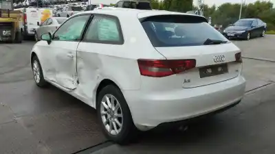 Veículo de Sucata audi a3 (8v1, 8vk) 1.6 tdi do ano 2013 alimentado clha