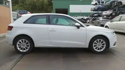 Veículo de Sucata audi a3 (8v1, 8vk) 1.6 tdi do ano 2013 alimentado clha