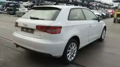 Veículo de Sucata audi a3 (8v1, 8vk) 1.6 tdi do ano 2013 alimentado clha