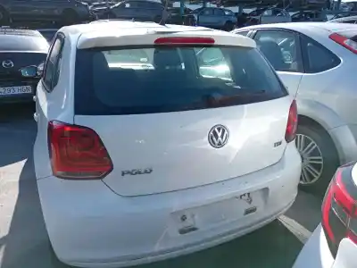 Veicolo di demolizione volkswagen polo v (6r1, 6c1) 1.6 tdi dell'anno 2009 alimentato caya