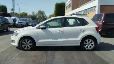 Veicolo di demolizione volkswagen polo v (6r1, 6c1) 1.6 tdi dell'anno 2009 alimentato caya