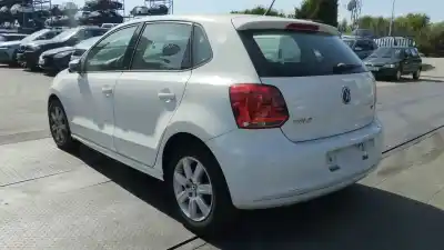 Veicolo di demolizione volkswagen polo v (6r1, 6c1) 1.6 tdi dell'anno 2009 alimentato caya