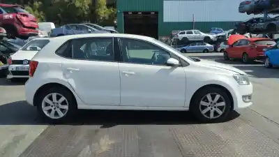 Veicolo di demolizione volkswagen polo v (6r1, 6c1) 1.6 tdi dell'anno 2009 alimentato caya