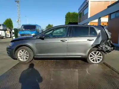 Scrapping Vehicle VOLKSWAGEN GOLF VII LIM. (BQ1) Advance of the year 2018 powered CZCA