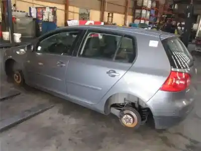 Scrapping Vehicle volkswagen golf v (1k1) 1.9 tdi of the year 2005 powered bls
