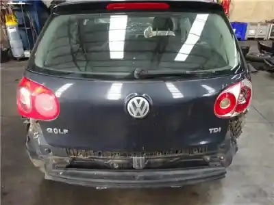 Veicolo di demolizione volkswagen golf v (1k1) 1.9 tdi dell'anno 2005 alimentato bkc