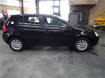 Veicolo di demolizione volkswagen golf v (1k1) 1.9 tdi dell'anno 2007 alimentato bxe