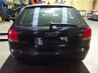 Scrapping Vehicle audi a3 (8p1) 1.9 tdi ambiente of the year 2003 powered bkc