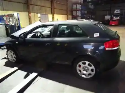 Scrapping Vehicle audi a3 (8p1) 1.9 tdi ambiente of the year 2003 powered bkc