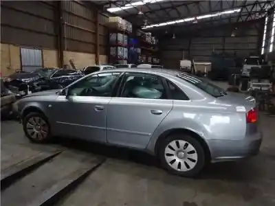 Scrapping Vehicle audi a4 berlina (8e) 2.0 tdi 16v (103kw) of the year 2005 powered blb