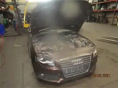 Scrapping Vehicle audi a4 berlina (8k2) 2.0 basis of the year 2011 powered (d) cag
