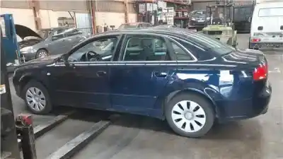 Scrapping Vehicle audi a4 berlina (8e) 2.0 tdi 16v (103kw) of the year 2005 powered blb