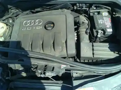 Veículo de Sucata audi a3 (8p1) 2.0 tdi 16v do ano 2007 alimentado bkd