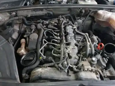 Scrapping Vehicle seat exeo berlina (3r2) 2.0 tdi of the year 2008 powered 