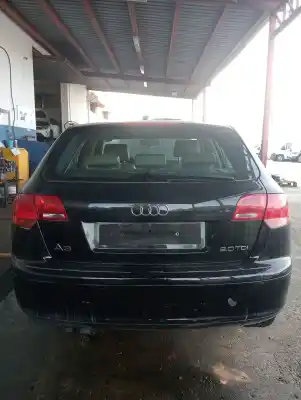 Scrapping Vehicle audi a3 (8p) a3 ii hayon fase 1 of the year 2003 powered 55287226