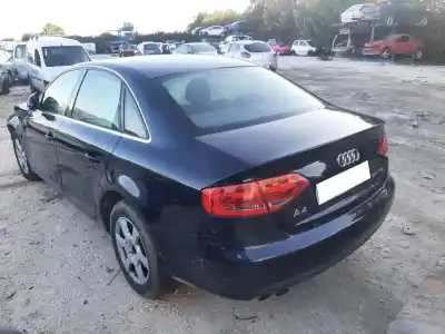 Veículo de Sucata audi a4 b8 (8k2) 2.0 tdi do ano 2008 alimentado caga Veículo de Sucata audi a4 b8 (8k2) 2.0 tdi do ano 2008 alimentado caga
