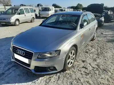 Veículo de Sucata audi a4 b8 (8k2) 2.0 tdi do ano 2011 alimentado caga