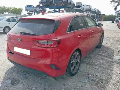 Scrapping Vehicle kia ceed (cd) 1.6 crdi 136 of the year 2019 powered d4fe