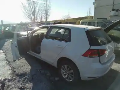 Veículo de Sucata volkswagen golf vii (5g1, bq1, be1, be2) 1.6 tdi do ano 2001 alimentado clh