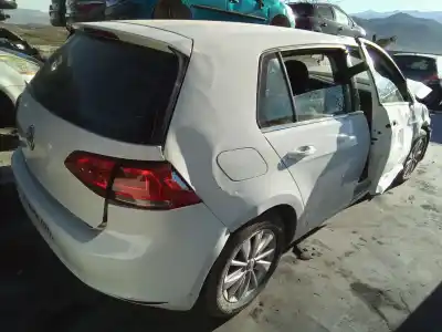 Veículo de Sucata volkswagen golf vii (5g1, bq1, be1, be2) 1.6 tdi do ano 2001 alimentado clh