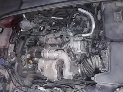 Veicolo di demolizione ford focus lim. 1.5 tdci cat dell'anno 2014 alimentato g1fq