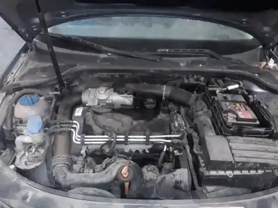 Veículo de Sucata audi a3 sportback (8p) 1.9 tdi do ano 2001 alimentado 