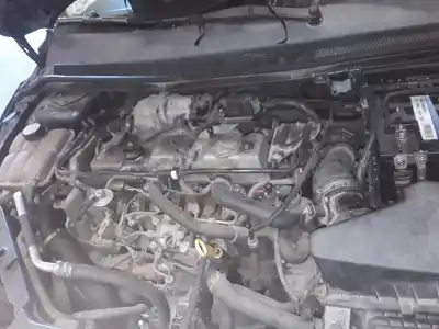 Veículo de Sucata ford focus berlina (cap) ambiente (d) do ano 2001 alimentado kkda