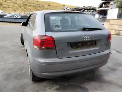 Scrapping Vehicle audi a3 (8p) 1.9 tdi ambiente of the year 2001 powered bxe