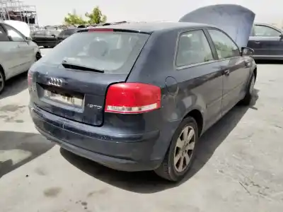 Scrapping Vehicle audi a3 (8p) 1.9 tdi ambiente of the year 2001 powered 