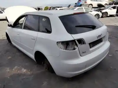 Veículo de Sucata audi a3 sportback (8p) 2.0 tdi ambiente do ano 2001 alimentado cff