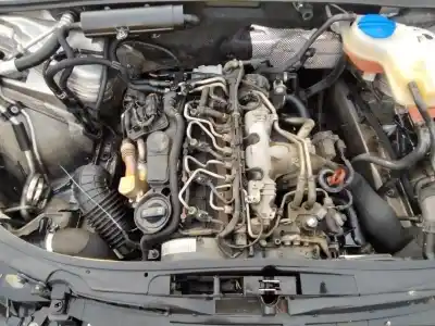 Scrapping Vehicle seat exeo (3r2) 2.0 tdi of the year 2001 powered cag