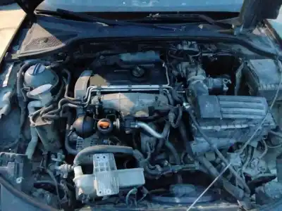 Veículo de Sucata audi a3 (8p) 2.0 tdi ambiente (dpf) do ano 2001 alimentado 