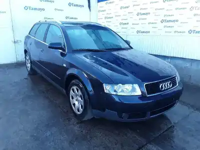 Scrapping Vehicle AUDI A4 AVANT (8E) 1.9 TDI (96kW) of the year 2003 powered AVF