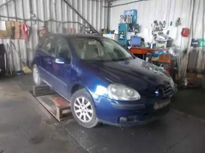 Veicolo di demolizione volkswagen golf v berlina (1k1) 1.9 tdi dell'anno 2004 alimentato bkc