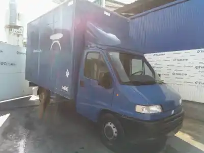 Sloopvoertuig FIAT DUCATO FURGONETA (230_) 2.8 TDI van het jaar 1998 aangedreven 814043