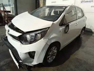 Утилизация автомобиля kia picanto (ja) 1.0 cat года 2019 питание g3la