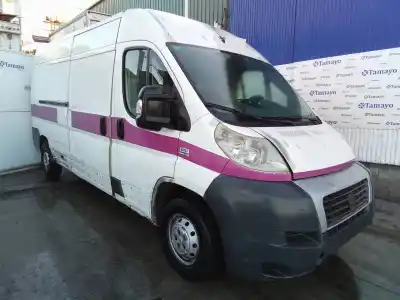 Veicolo di demolizione fiat ducato furgon 250 dell'anno 2009 alimentato f1ae0481d