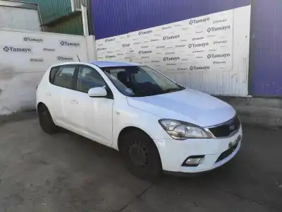 Sloopvoertuig KIA PRO CEE´D (ED) 1.6 CRDi 90 van het jaar 2010 aangedreven D4FBW