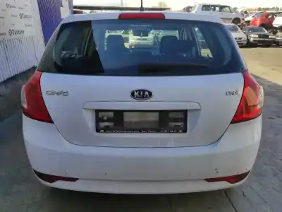 Sloopvoertuig kia pro cee´d (ed) 1.6 crdi 90 van het jaar 2010 aangedreven d4fbw