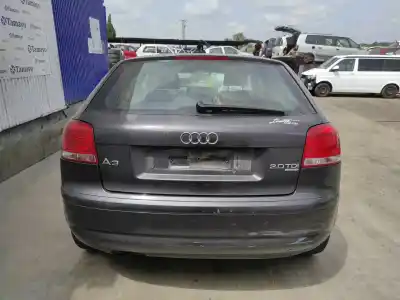 Veículo de Sucata audi a3 (8p) 2.0 tdi do ano 2006 alimentado bkd