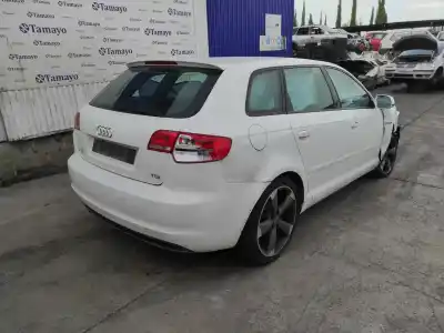Veículo de Sucata audi a3 sportback (8p) 2.0 tdi ambiente do ano 2011 alimentado cffb