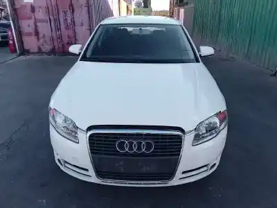 Scrapping Vehicle AUDI A4 BERLINA (8E) 2.0 TDI of the year 2005 powered BLB