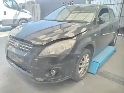 Veículo de Sucata kia pro_cee´d active do ano 2008 alimentado d4fbu