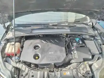 Verschrottungsfahrzeug ford focus lim. (cb8) trend des jahres 2012 angetrieben t1da