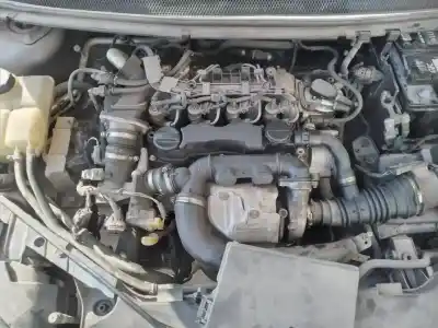 Veículo de Sucata ford focus berlina (cap) ghia do ano 2007 alimentado g8db