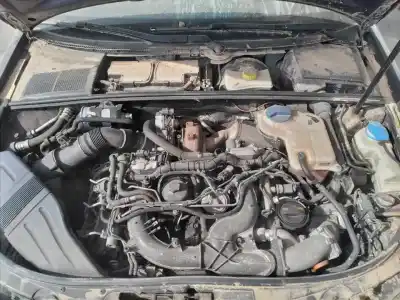 Scrapping Vehicle audi a4 avant (8e) 3.0 tdi quattro (171kw) of the year 2007 powered asb