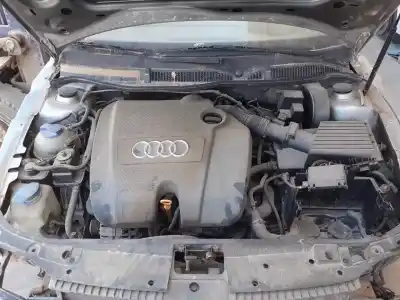 Scrapping Vehicle audi a3 (8l) 1.6 ambiente of the year 2001 powered avu