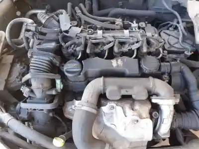 Veículo de Sucata ford focus berlina (cap) trend do ano 2005 alimentado hhda