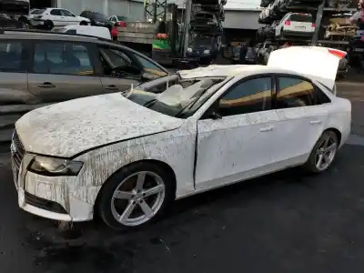 Verschrottungsfahrzeug AUDI A4 BERLINA (B8) Básico Quattro des Jahres 2007 angetrieben CAG